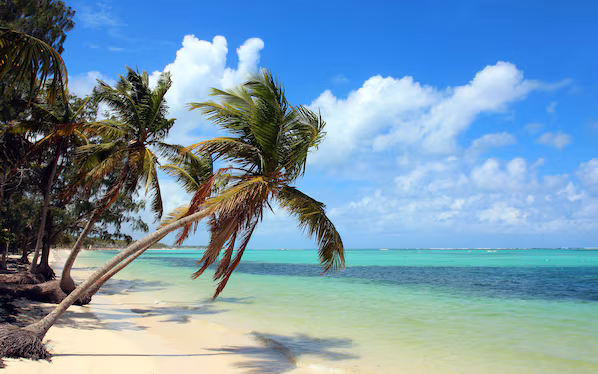 Bavaro Beach near Zoëtry Agua Punta Cana with white sand shoreline and crystal-clear Caribbean waters
