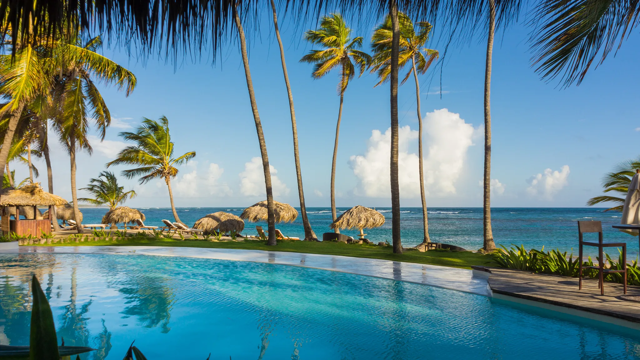 Infinity-style pool with palm trees overlooking the Caribbean Sea at Zoëtry Agua Punta Cana.