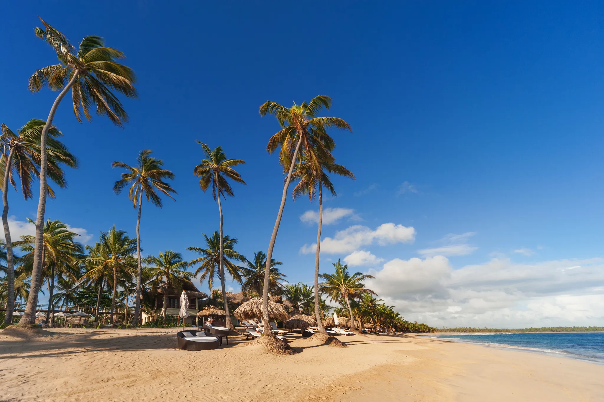 Palm-lined white sand beach with lounge chairs at Zoëtry Agua Punta Cana in Punta Cana.